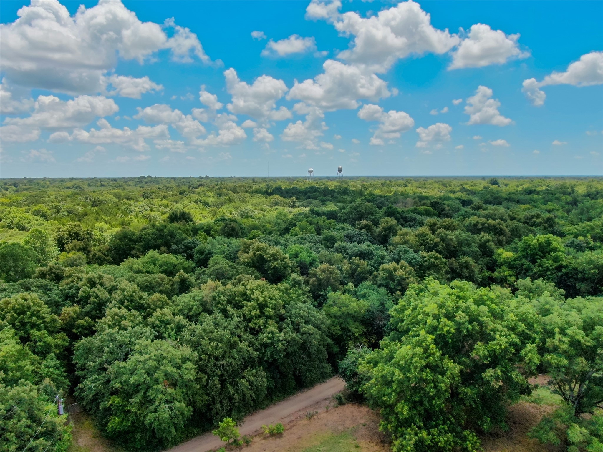 Tbd Shelby Lane Ladonia TX 75449