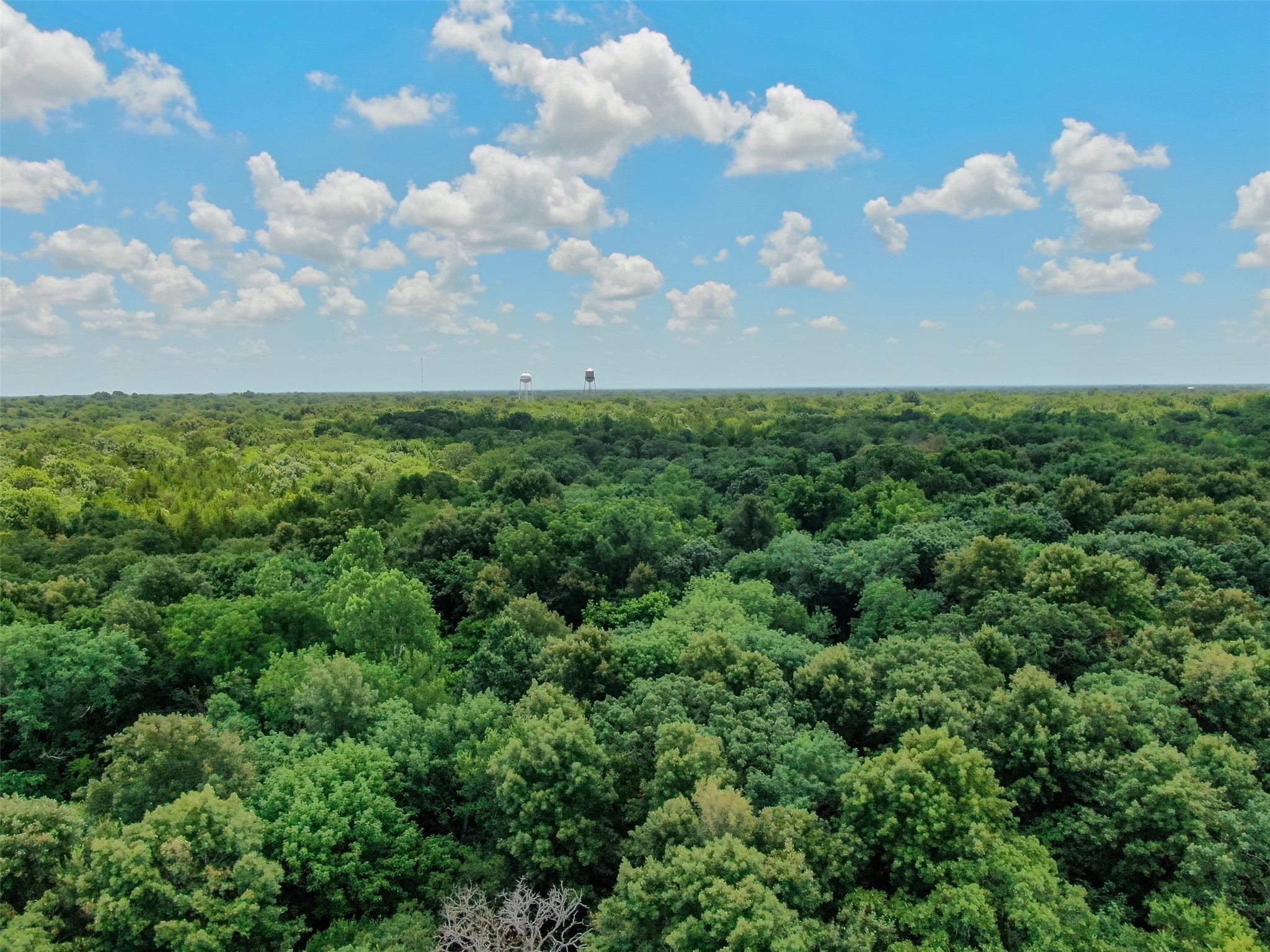 Tbd Shelby Lane Ladonia TX 75449