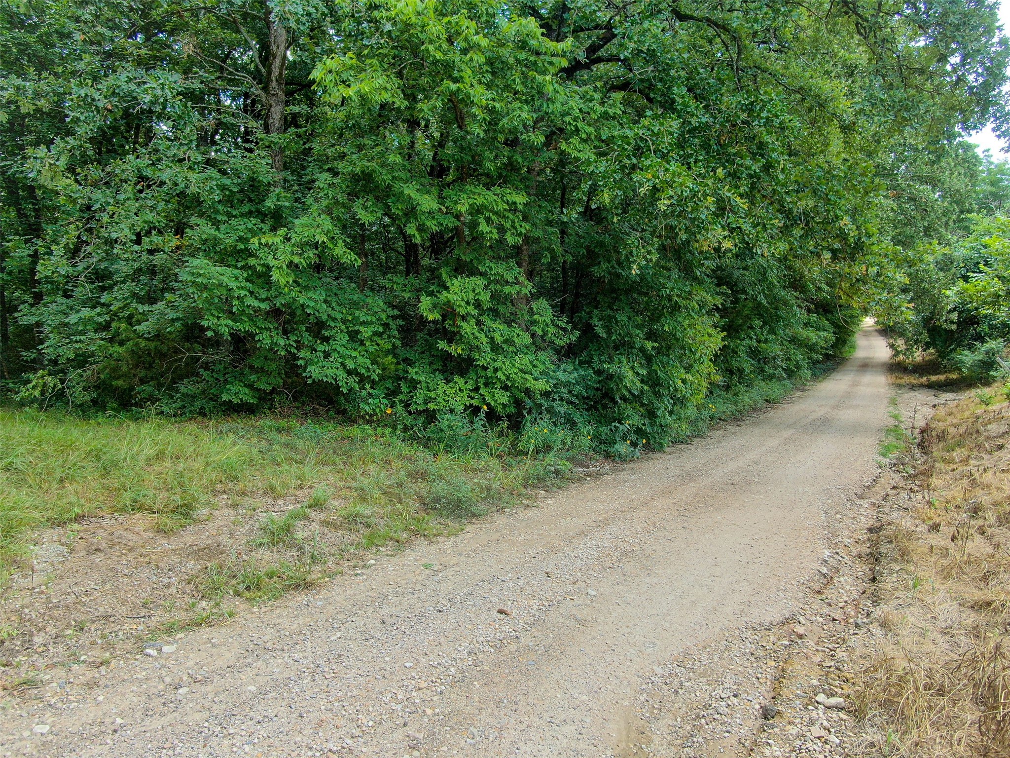 Tbd Shelby Lane Ladonia TX 75449