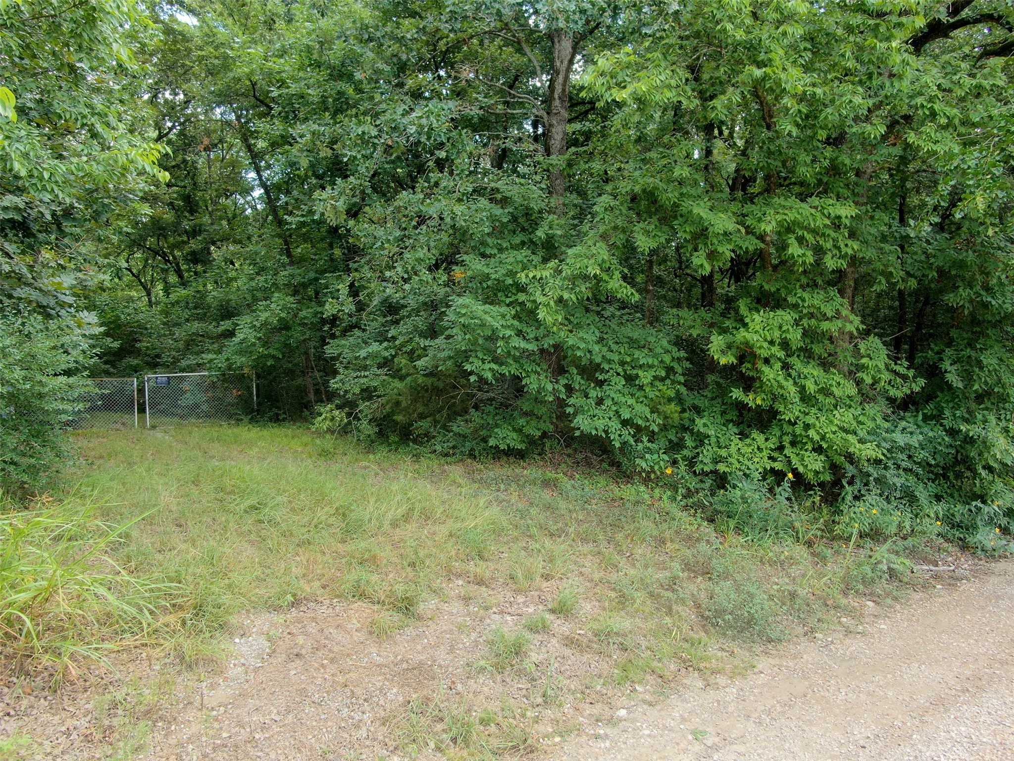 Tbd Shelby Lane Ladonia TX 75449