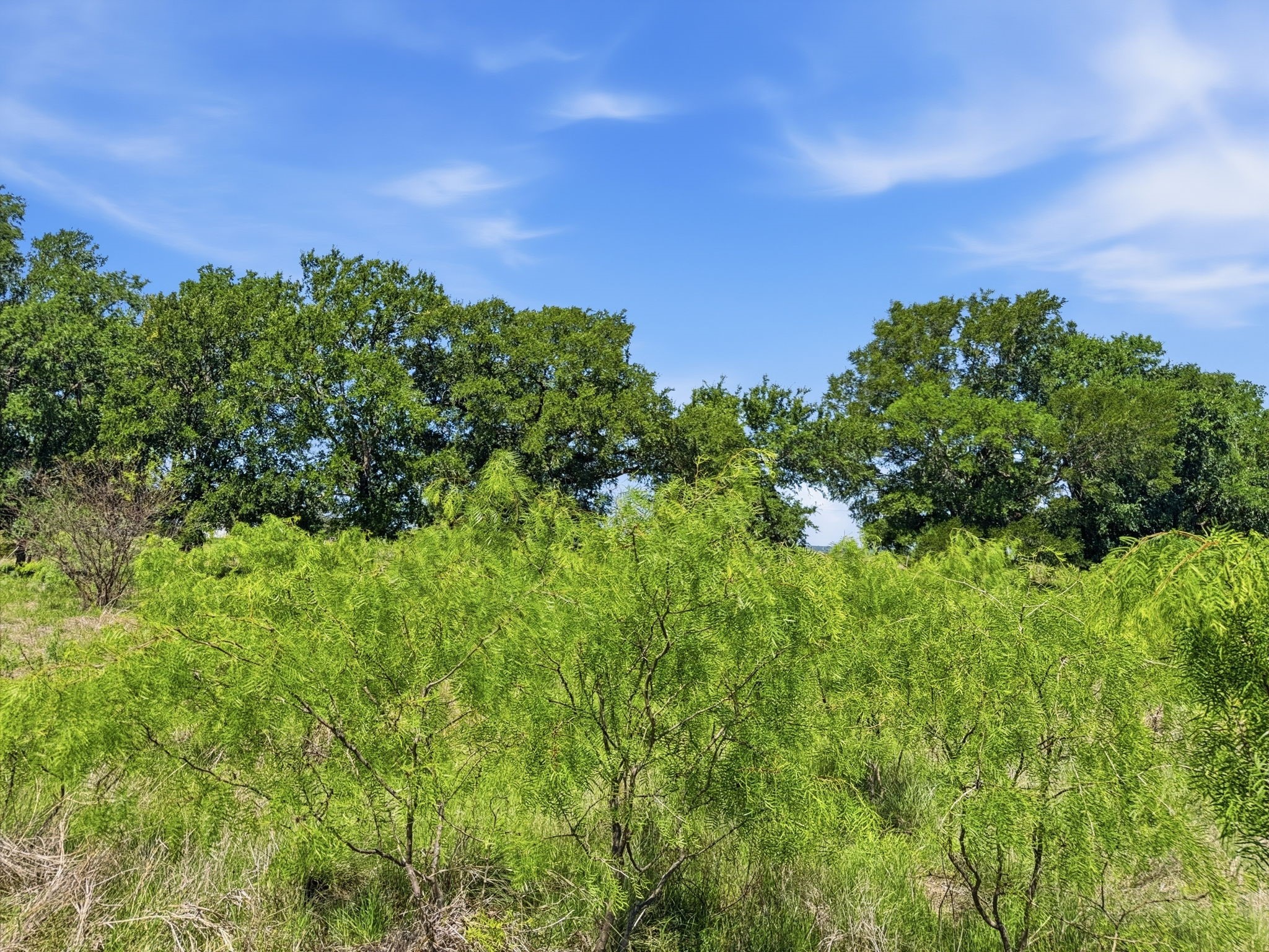Lot 13 Ph 1 Pr 4219 Evant TX 76525