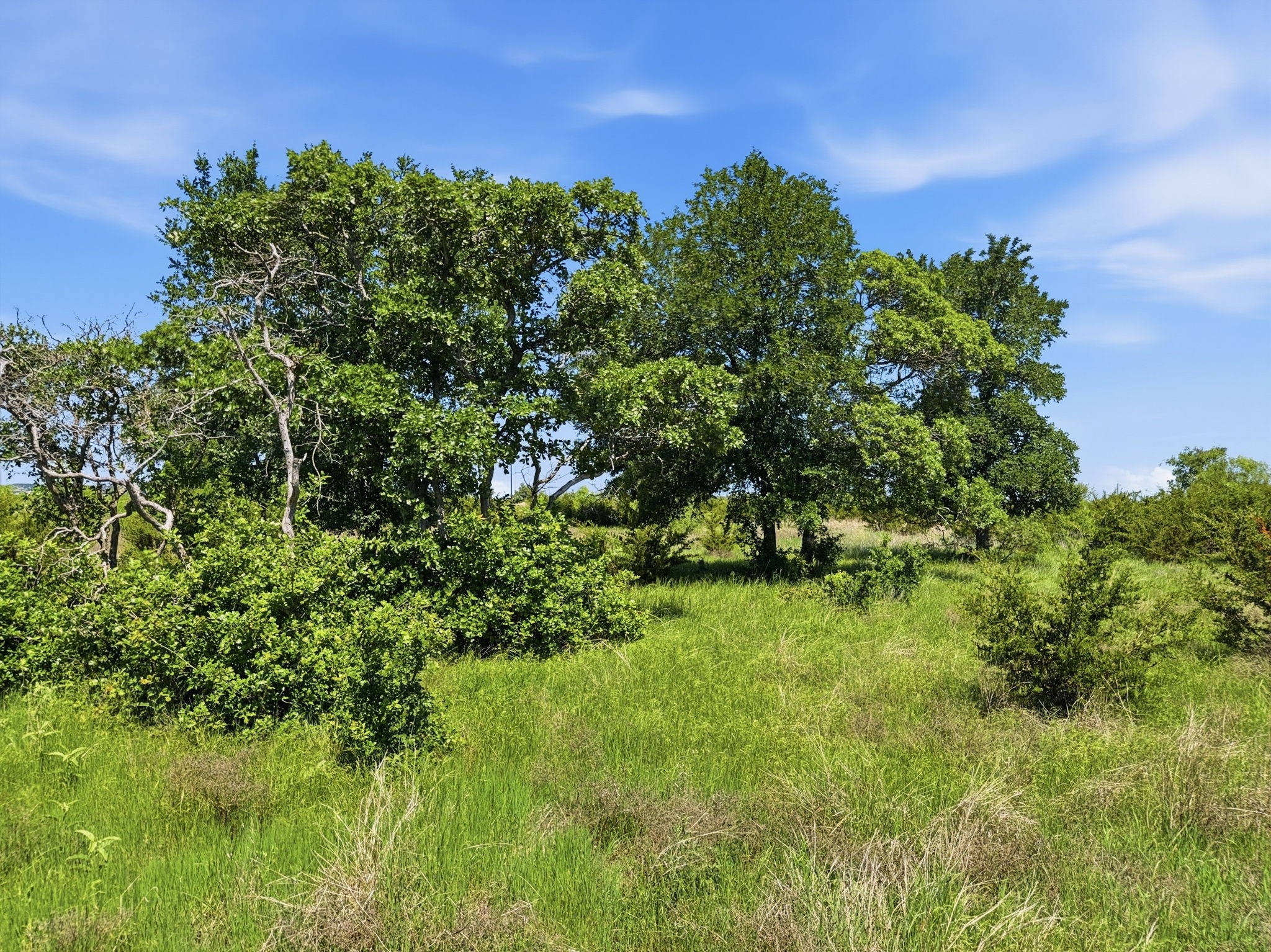 Lot 13 Ph 1 Pr 4219 Evant TX 76525