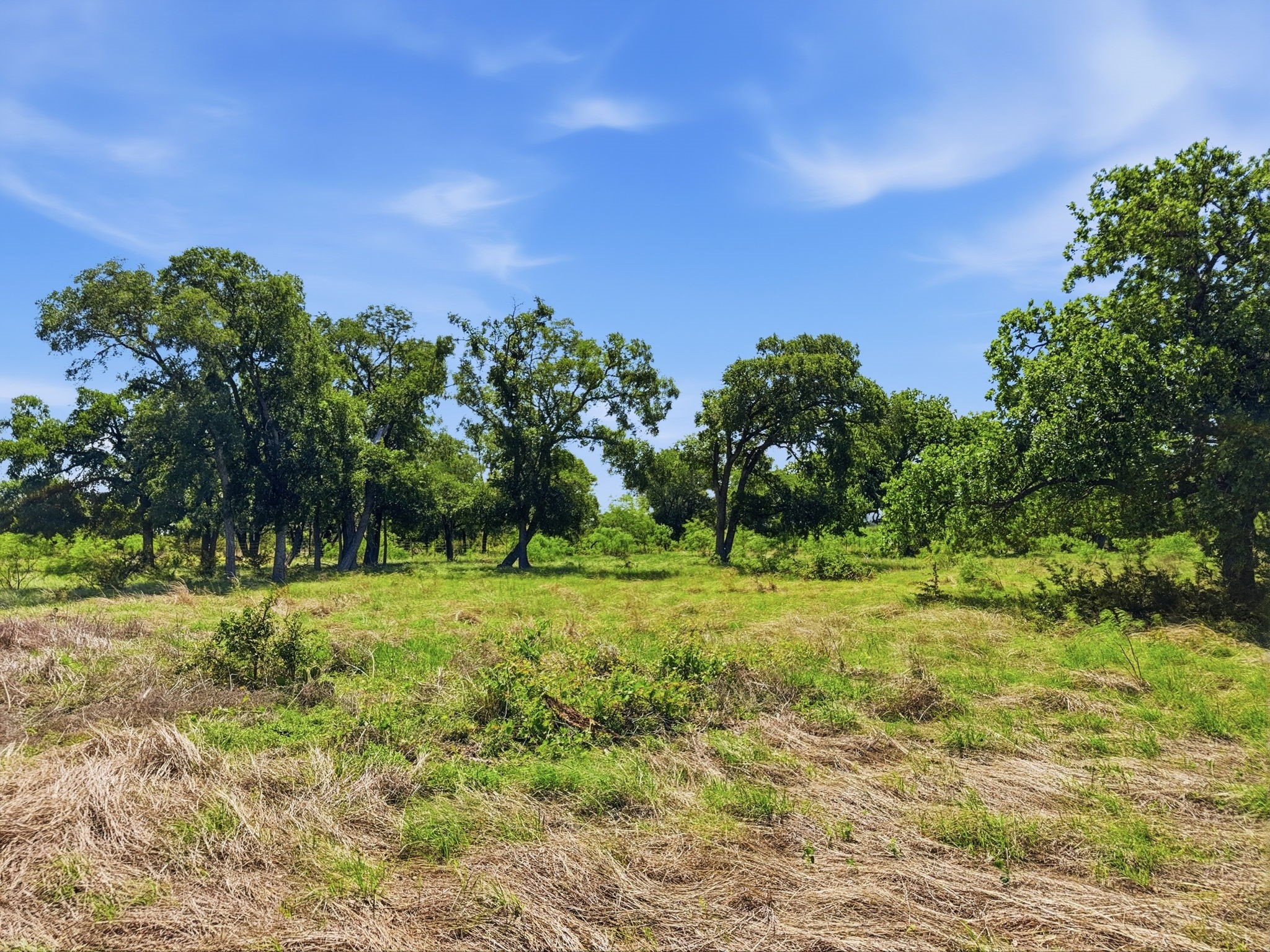 Lot 13 Ph 1 Pr 4219 Evant TX 76525