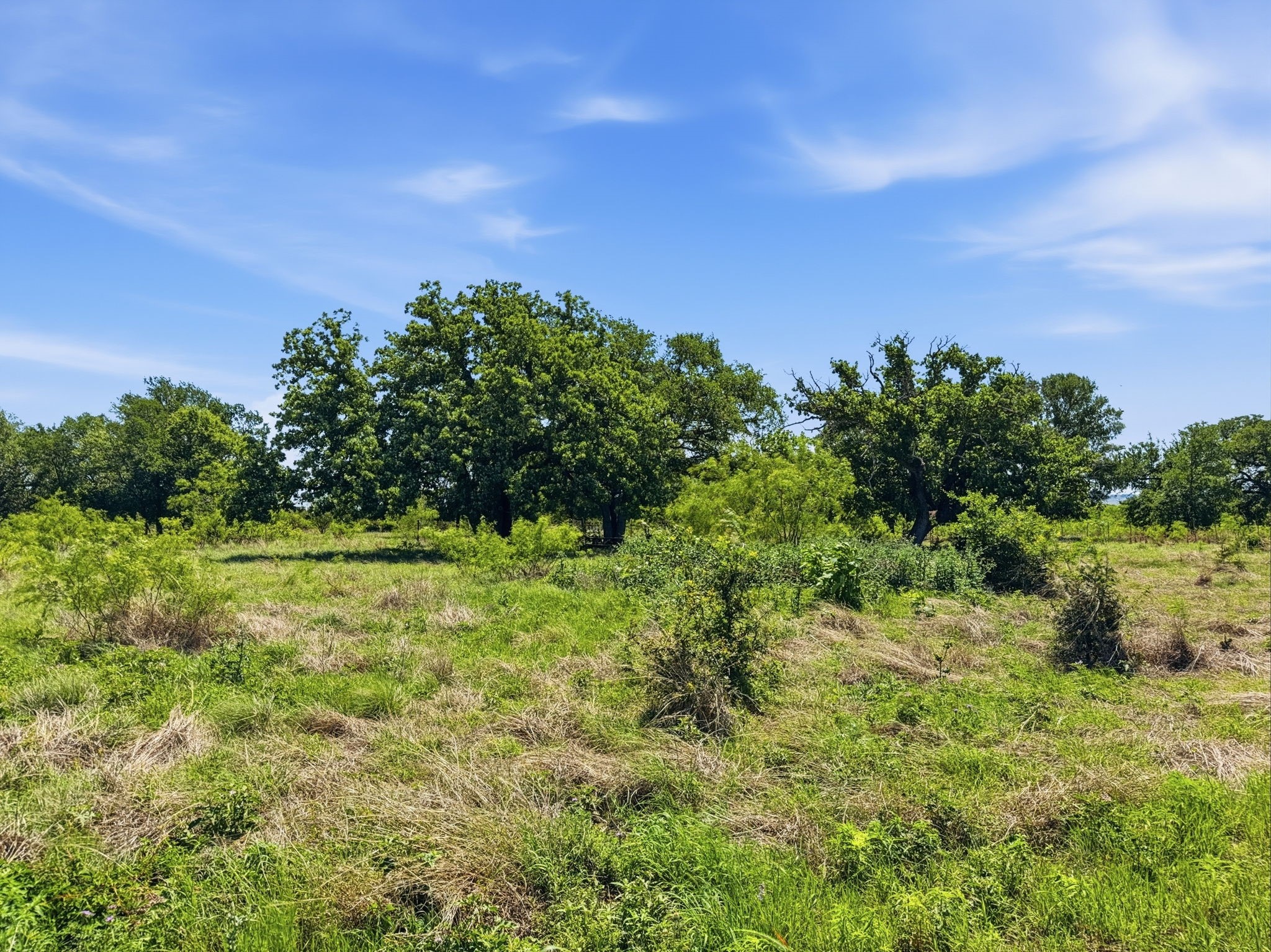 Lot 13 Ph 1 Pr 4219 Evant TX 76525
