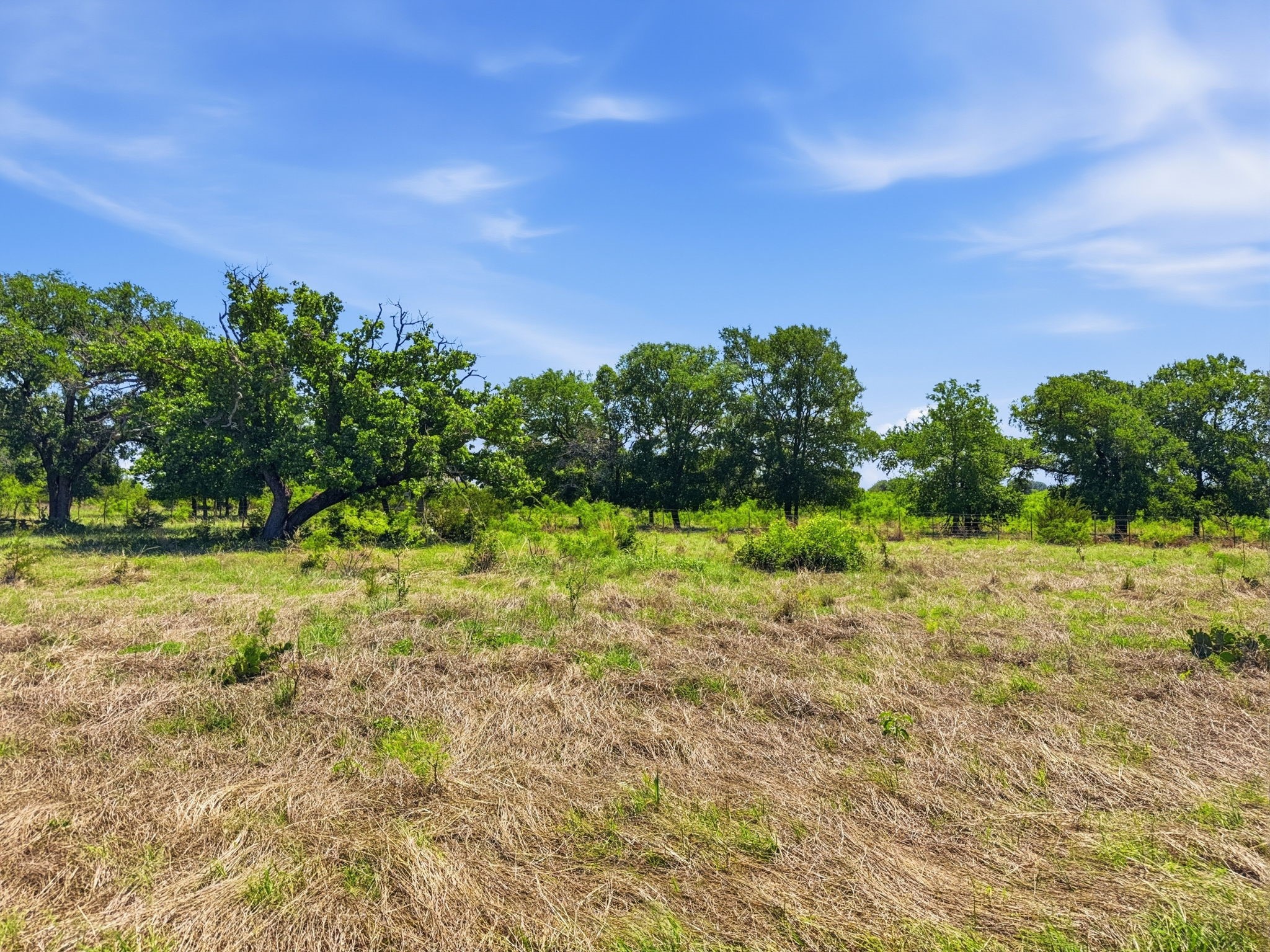 Lot 13 Ph 1 Pr 4219 Evant TX 76525