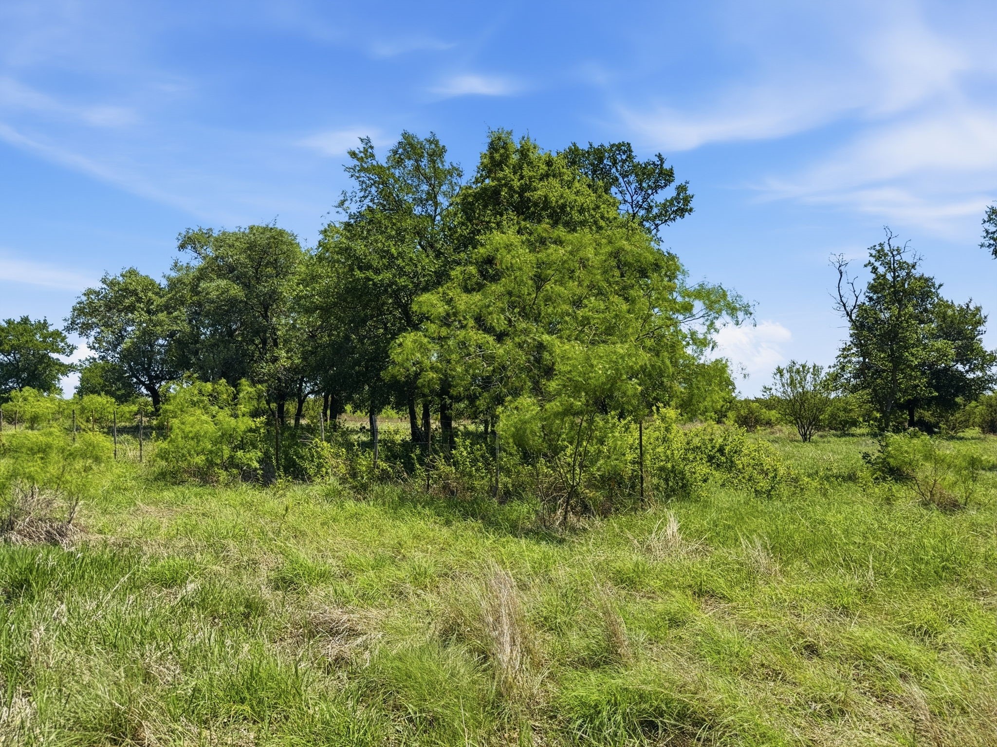 Lot 13 Ph 1 Pr 4219 Evant TX 76525