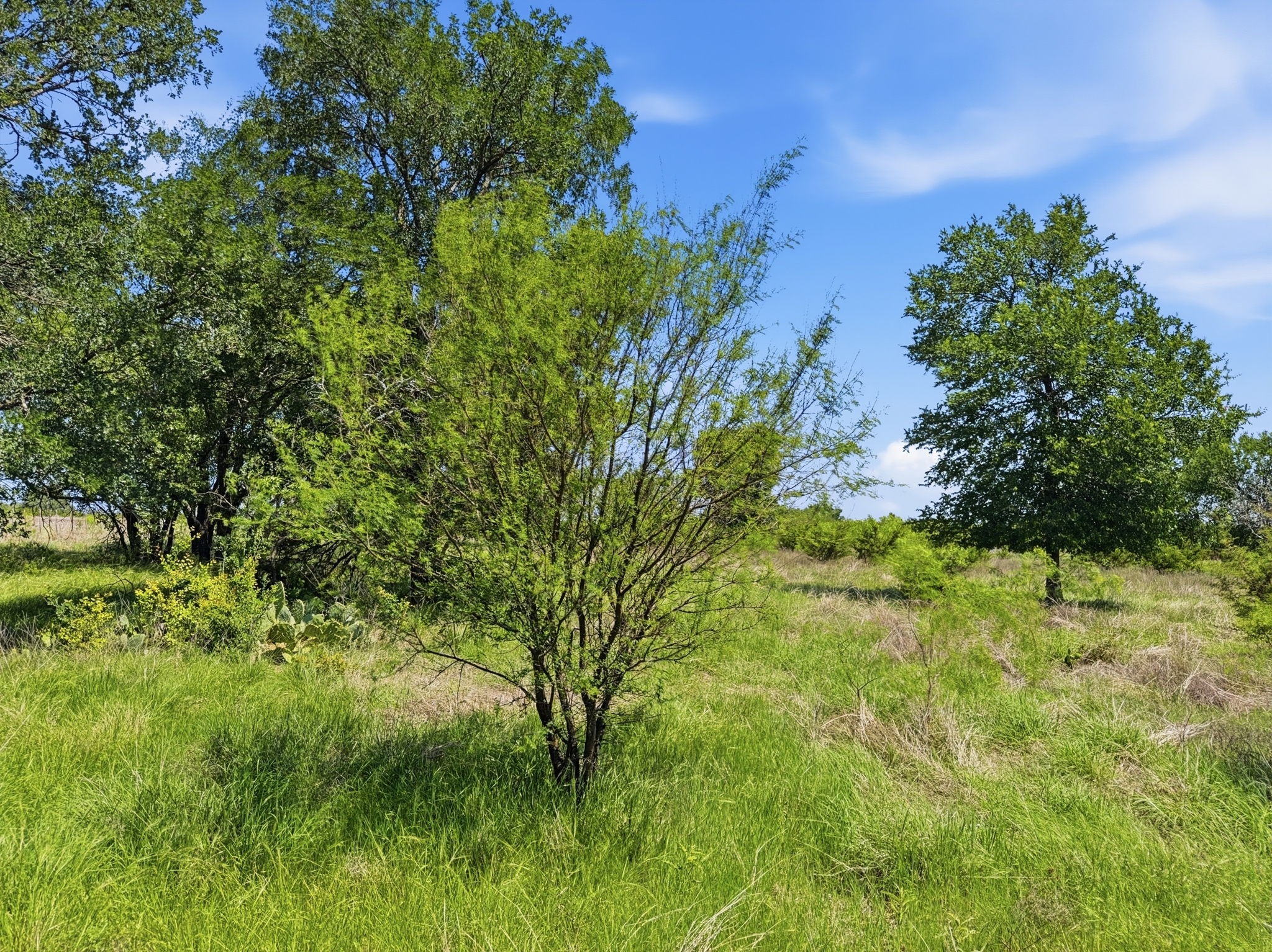 Lot 13 Ph 1 Pr 4219 Evant TX 76525
