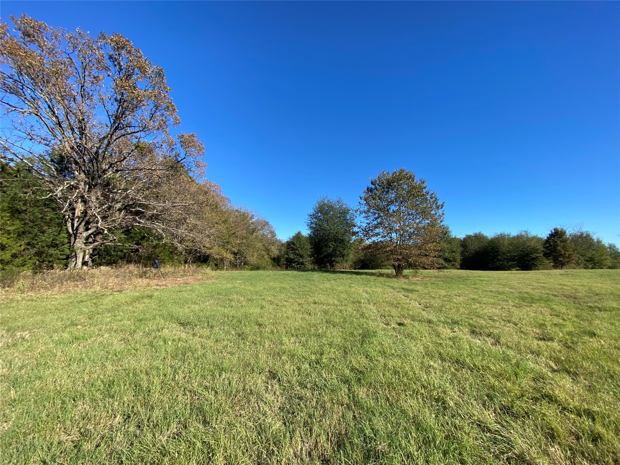 30 Acre County Road 2425 Como TX 75431