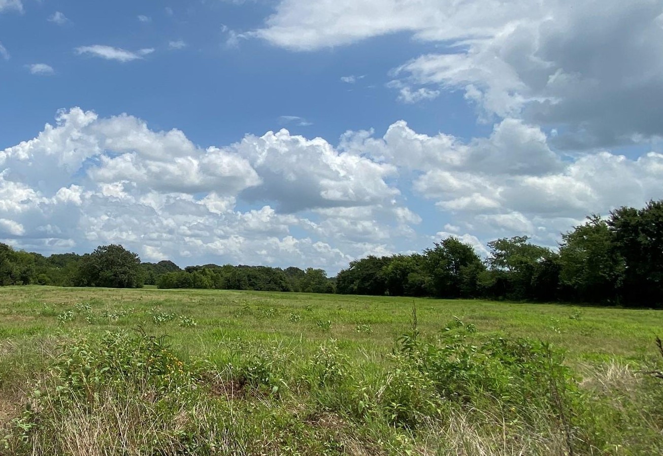 30 Acre County Road 2425 Como TX 75431