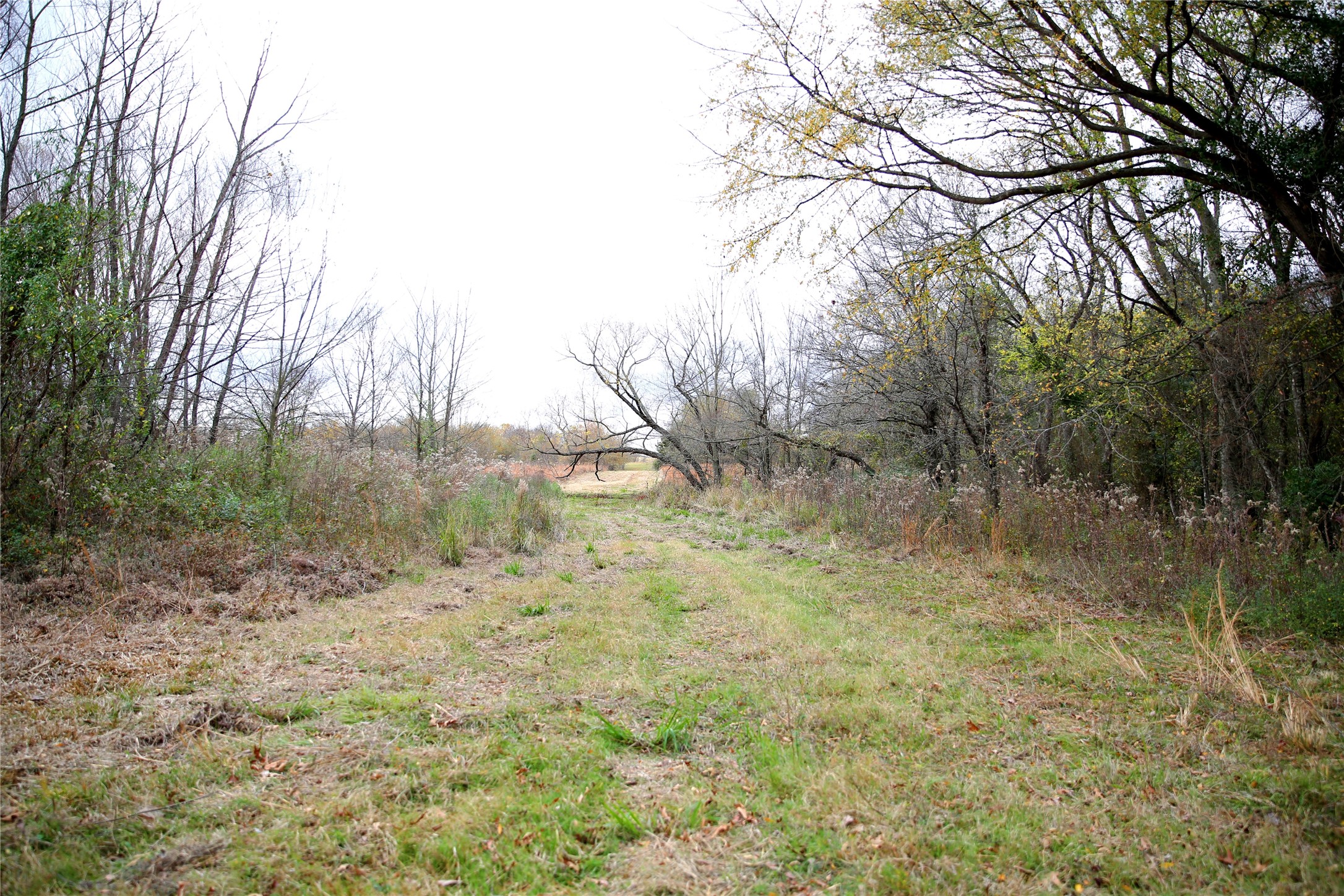 30 Acre County Road 2425 Como TX 75431