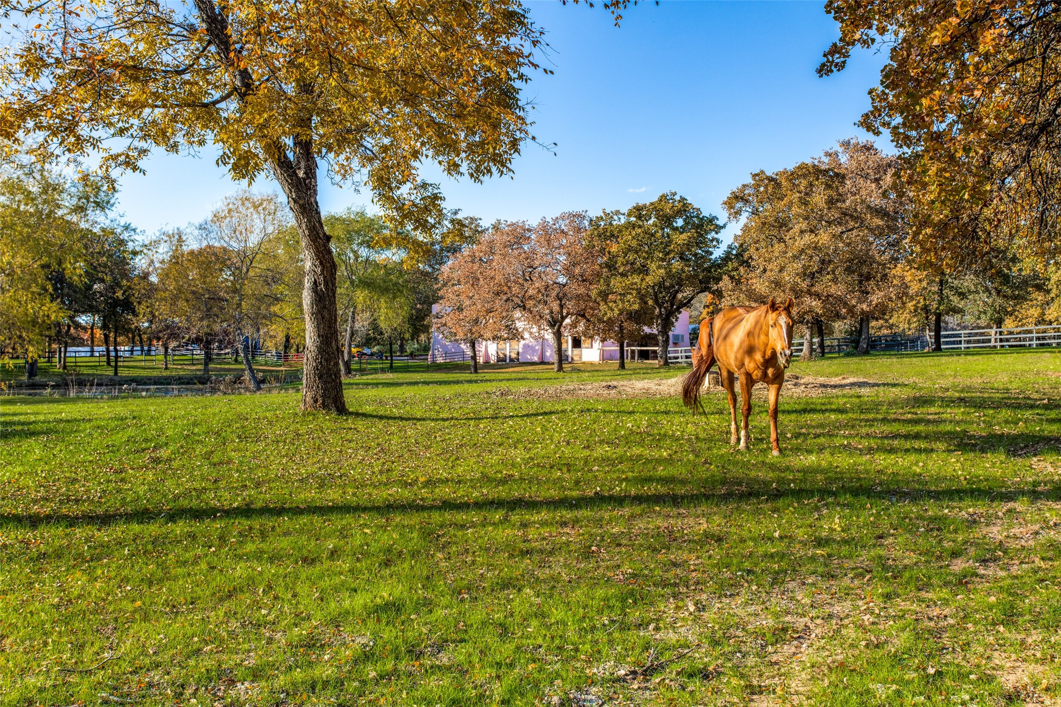 1100 Simmons Road Flower Mound TX 75022
