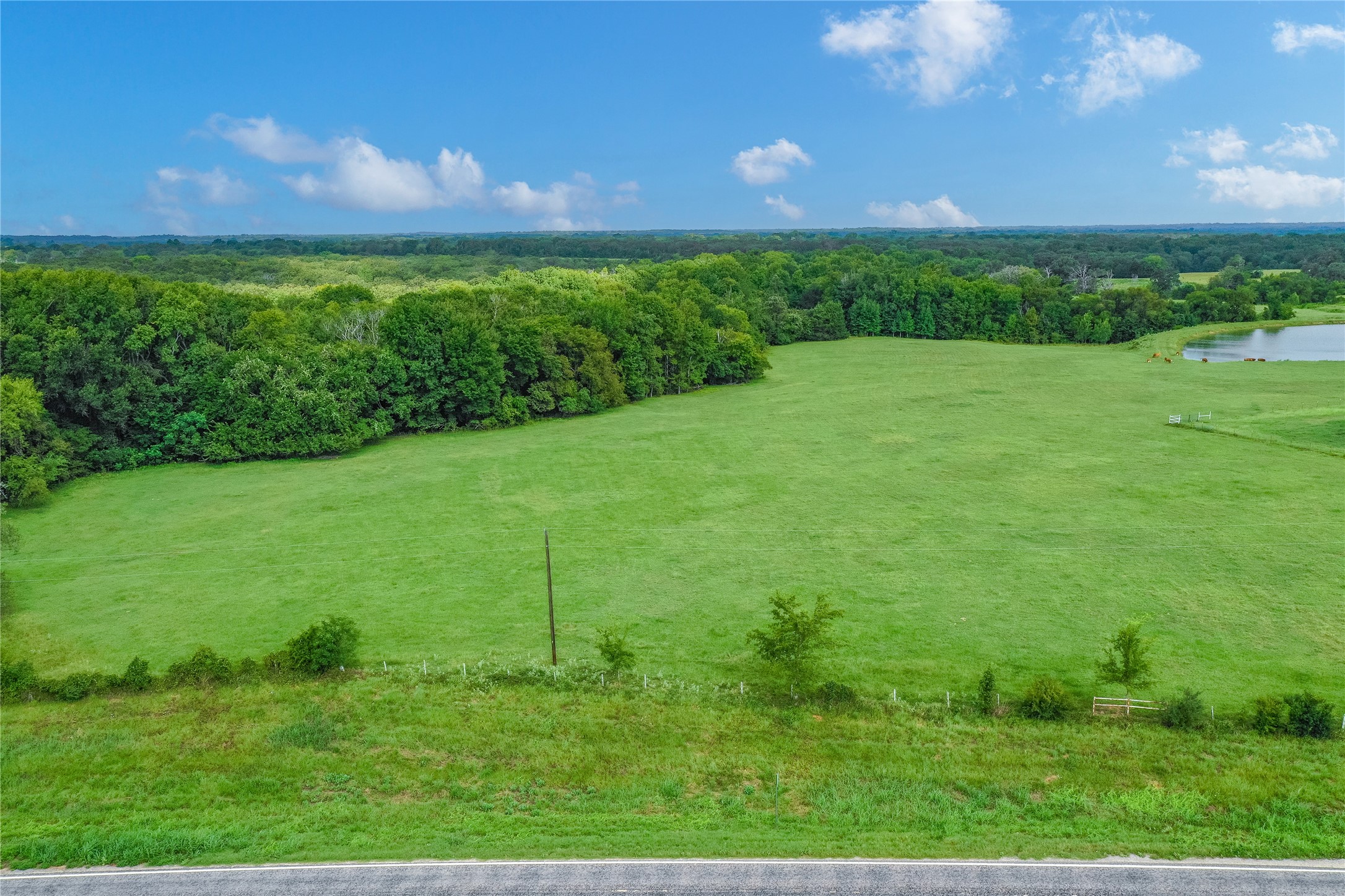 51.00 (+/-) Acres Fm 773 Grand Saline TX 75140