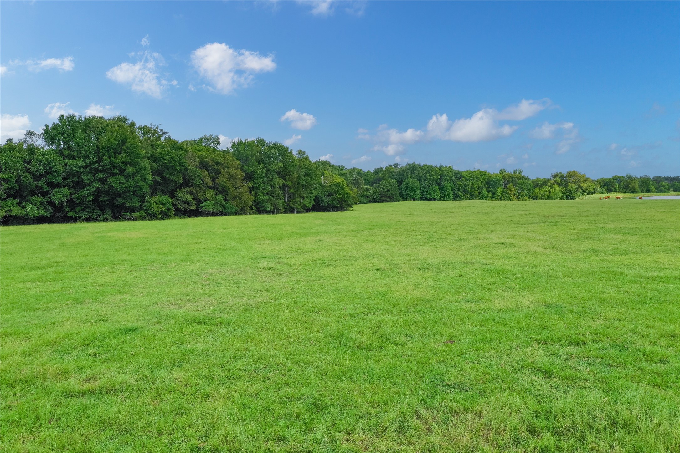 51.00 (+/-) Acres Fm 773 Grand Saline TX 75140