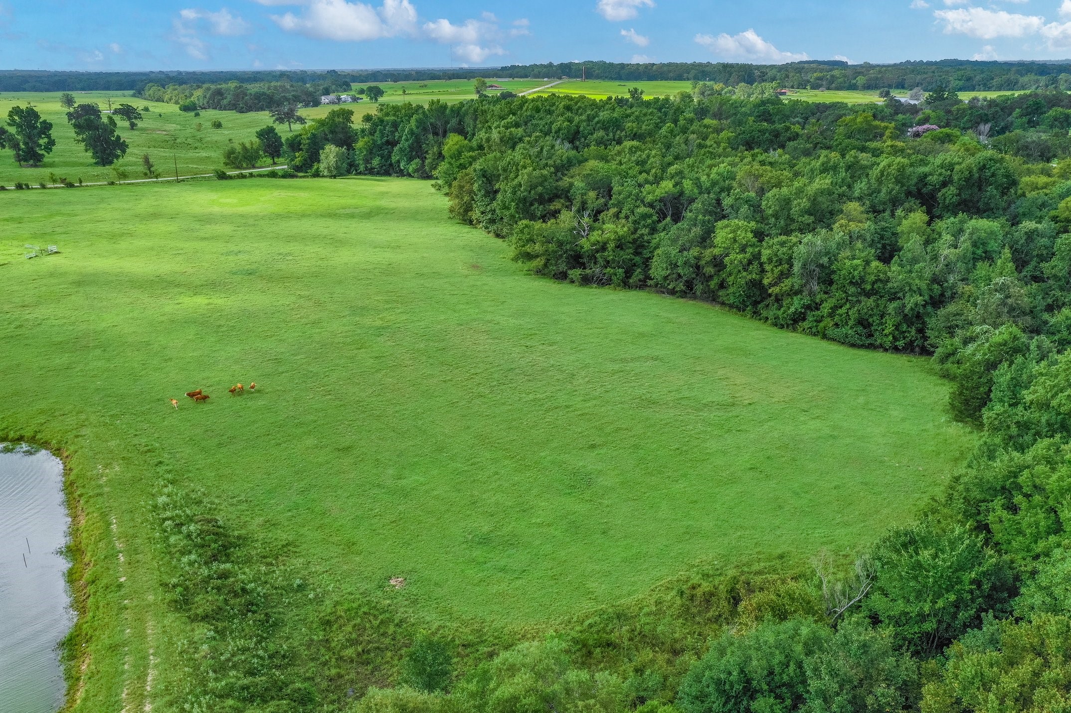 51.00 (+/-) Acres Fm 773 Grand Saline TX 75140