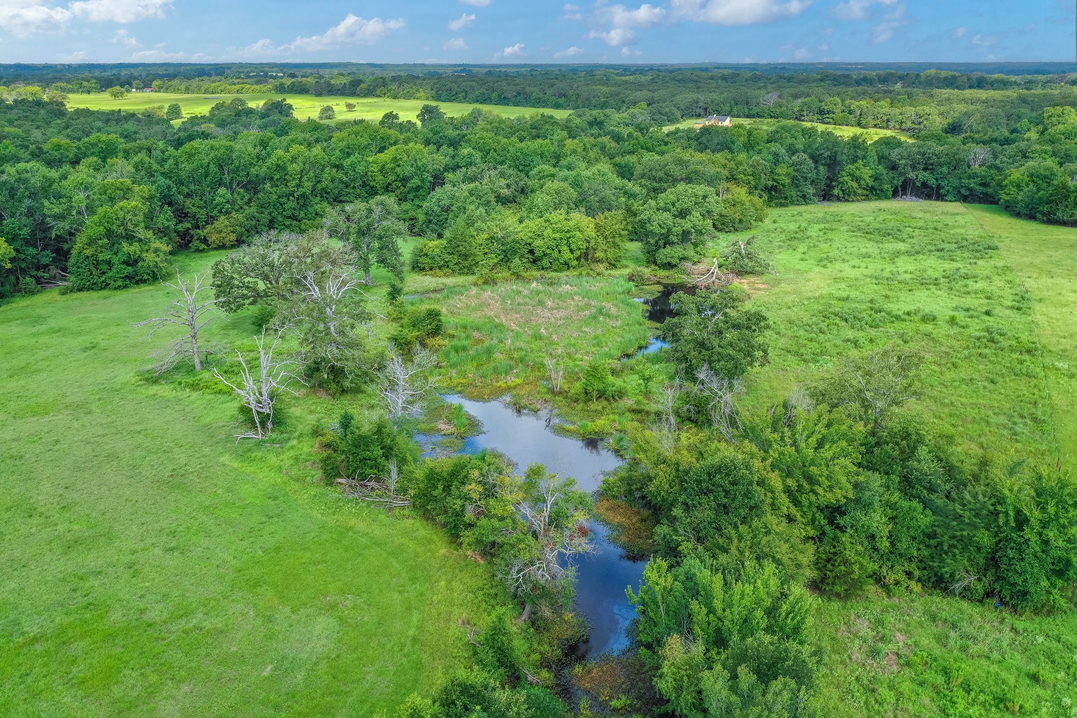 51.00 (+/-) Acres Fm 773 Grand Saline TX 75140