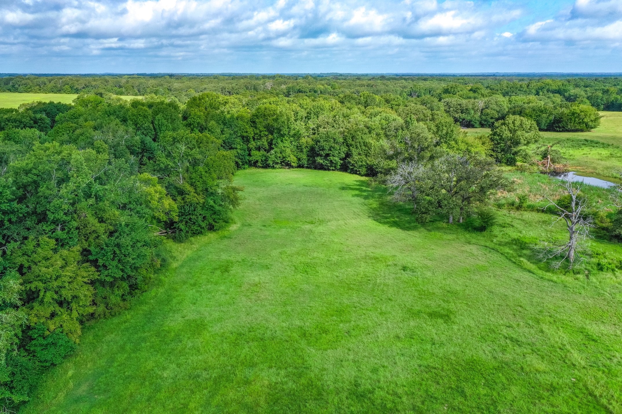 51.00 (+/-) Acres Fm 773 Grand Saline TX 75140
