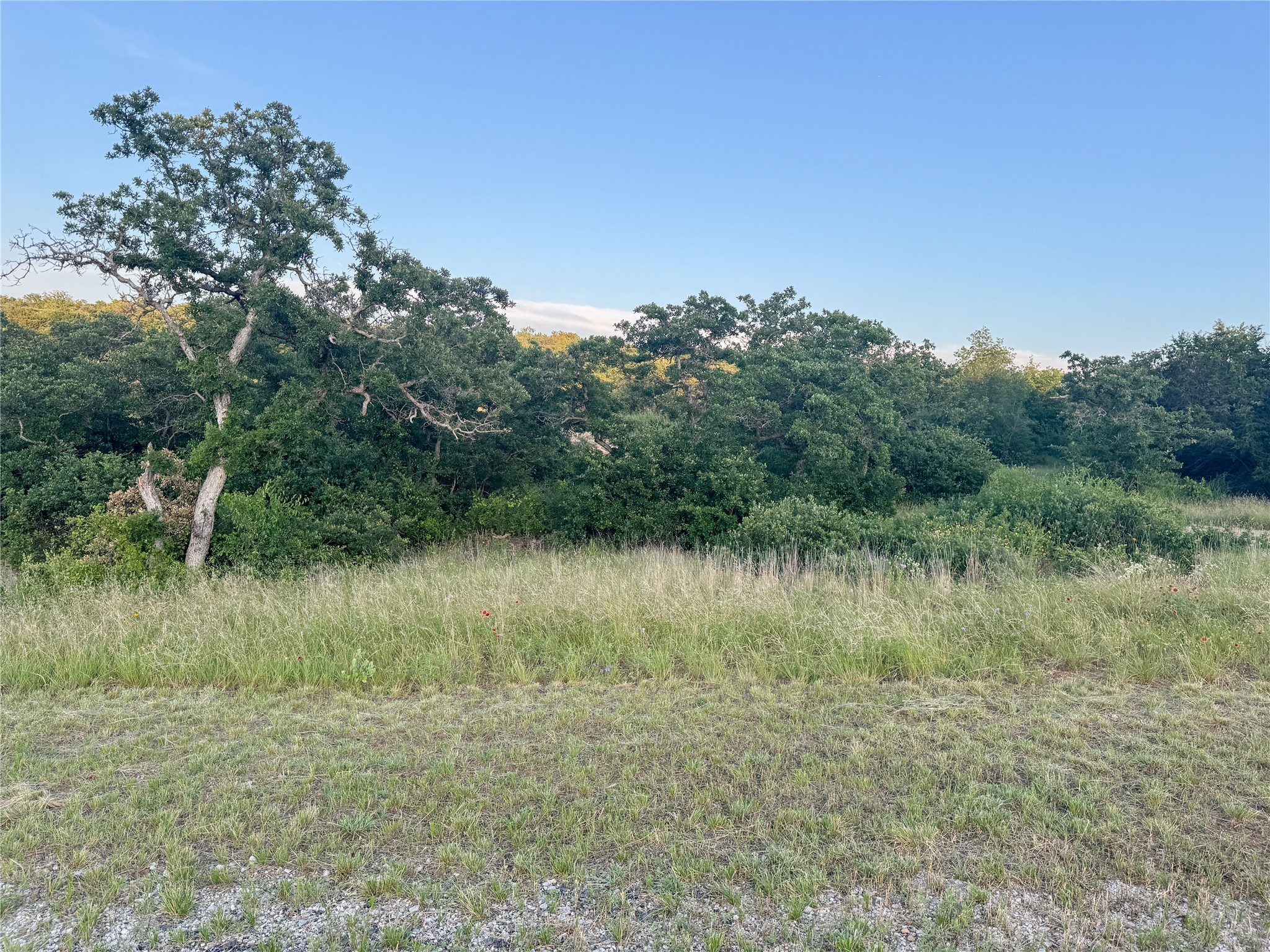 Lot 149 Hidden Shores Drive Cisco TX 76437