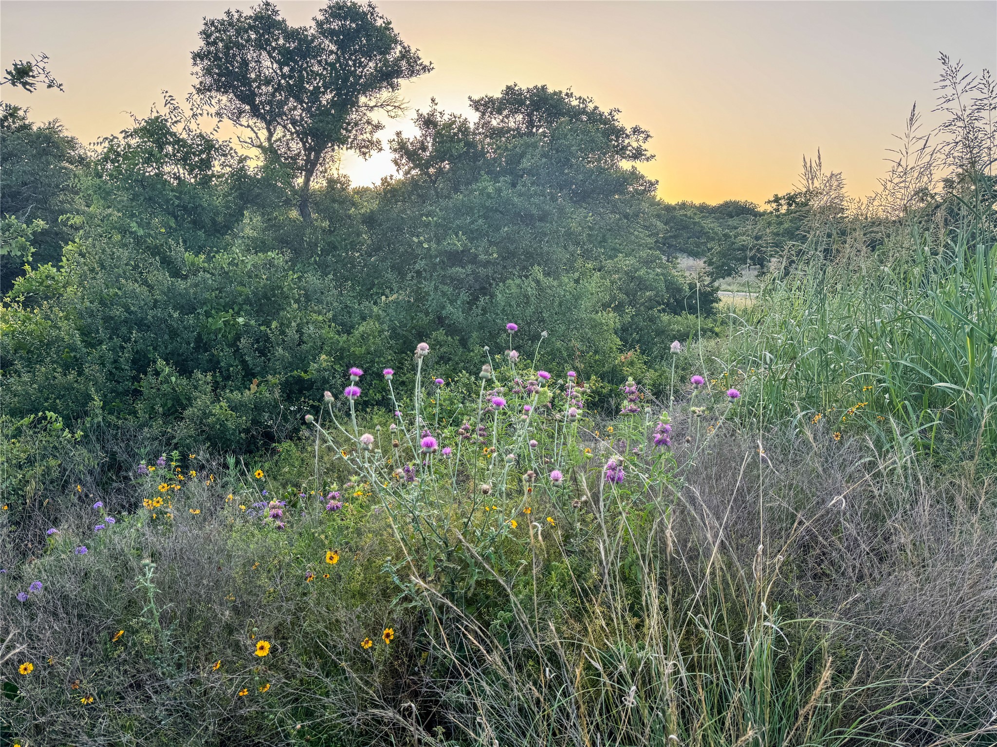 Lot 149 Hidden Shores Drive Cisco TX 76437
