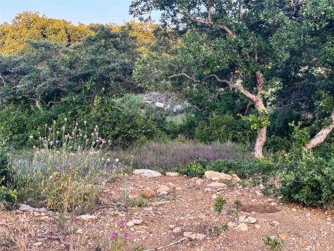 Lot 149 Hidden Shores Drive Cisco TX 76437