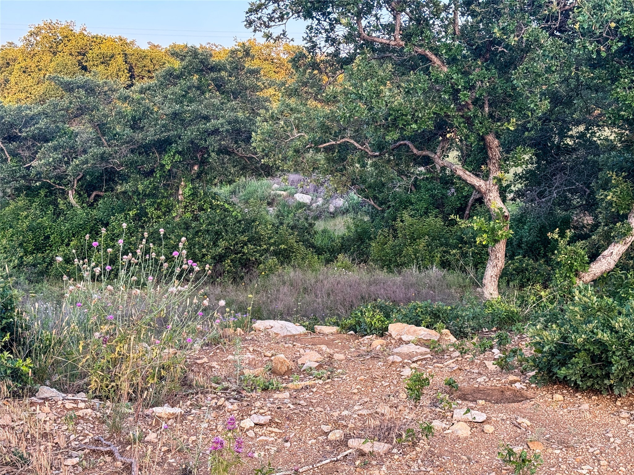 Lot 149 Hidden Shores Drive Cisco TX 76437