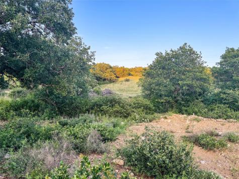 Lot 149 Hidden Shores Drive Cisco TX 76437