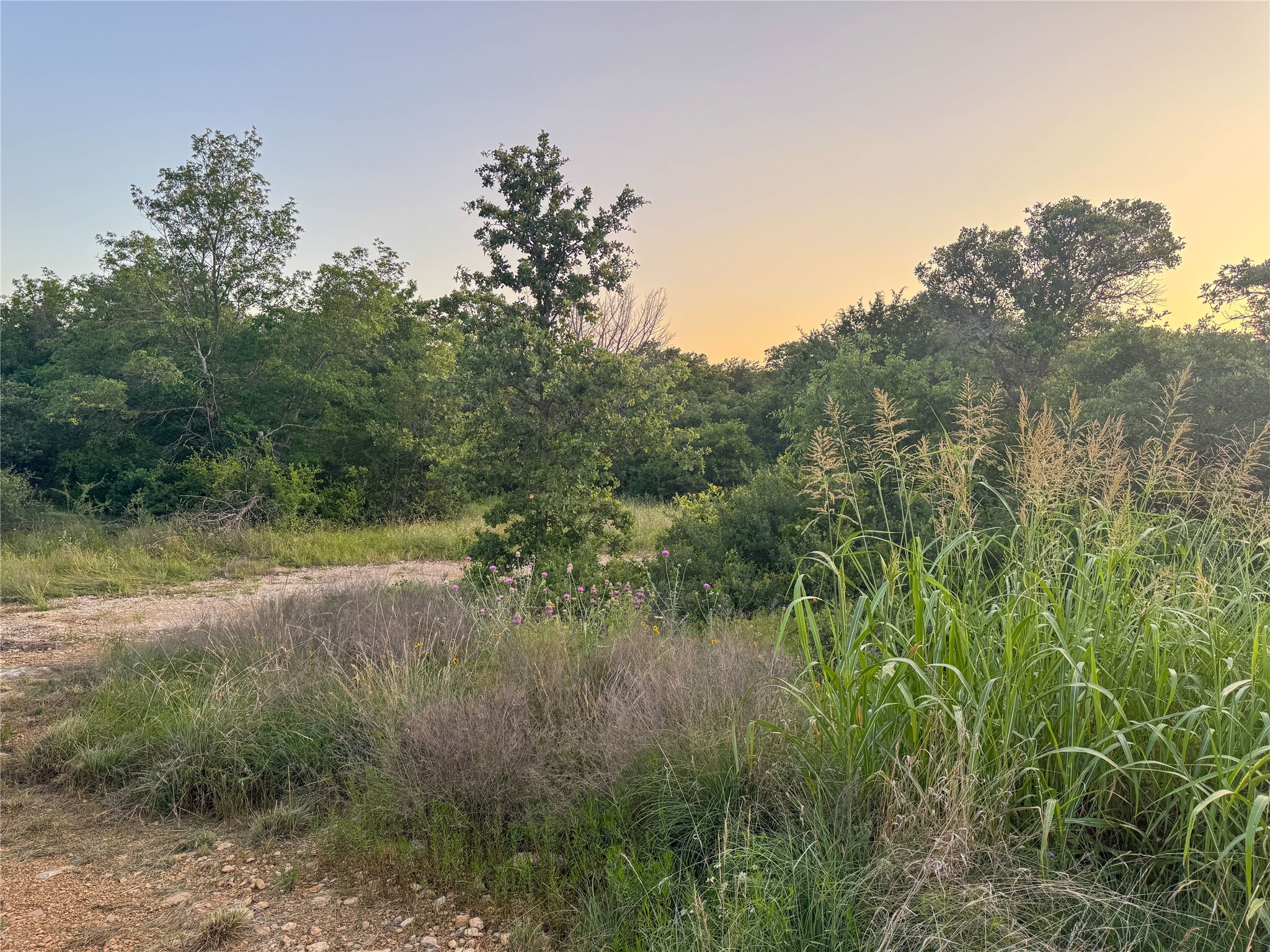 Lot 149 Hidden Shores Drive Cisco TX 76437