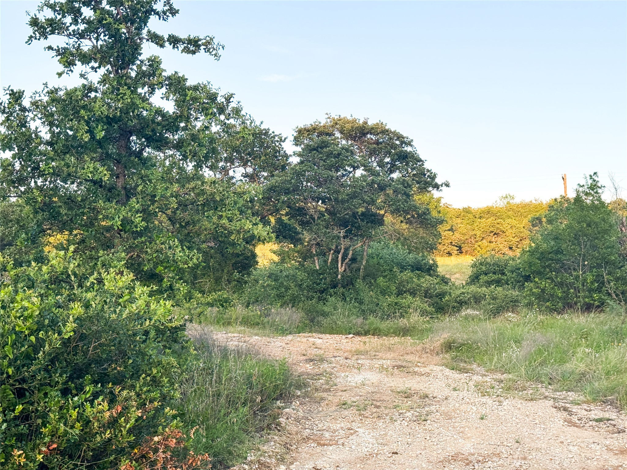 Lot 149 Hidden Shores Drive Cisco TX 76437