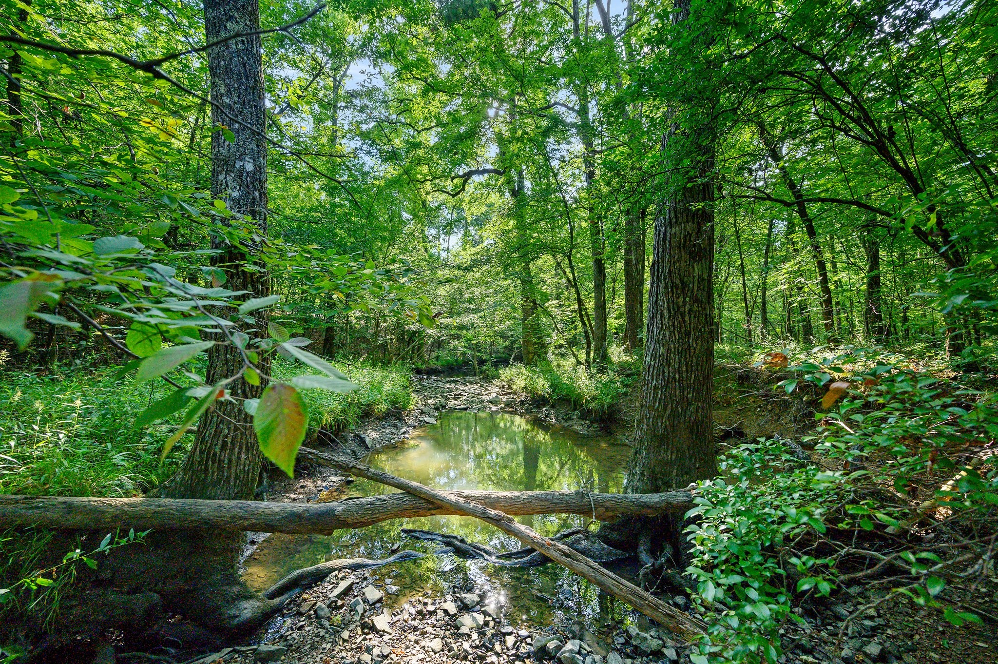 66 Aged Acacia Trail Broken Bow OK 74728