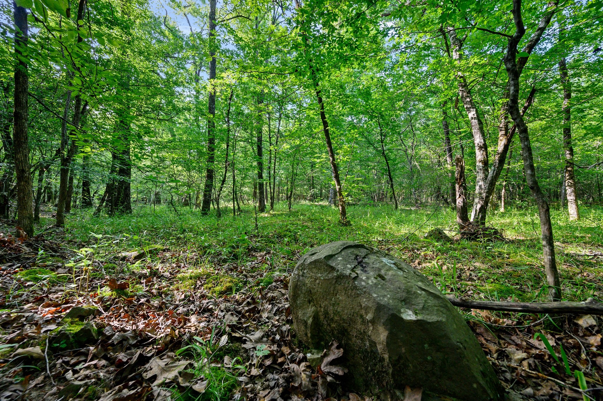 66 Aged Acacia Trail Broken Bow OK 74728