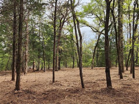 Lot 465 Cr-4710 Larue TX 75770