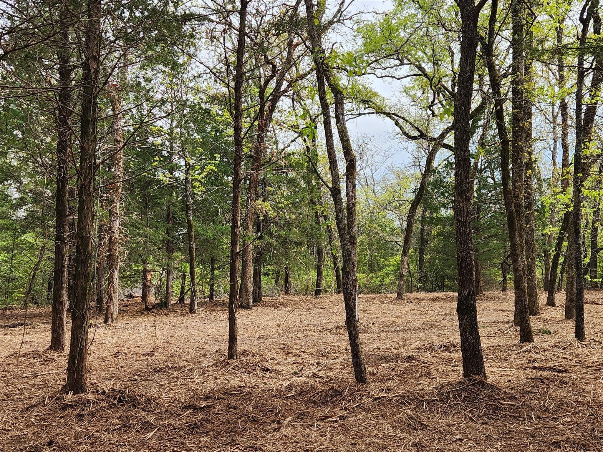 Lot 465 Cr-4710 Larue TX 75770