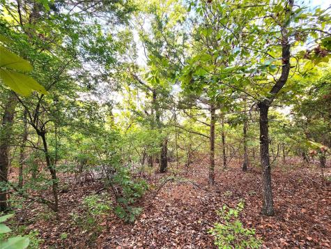 Lot 465 Cr-4710 Larue TX 75770
