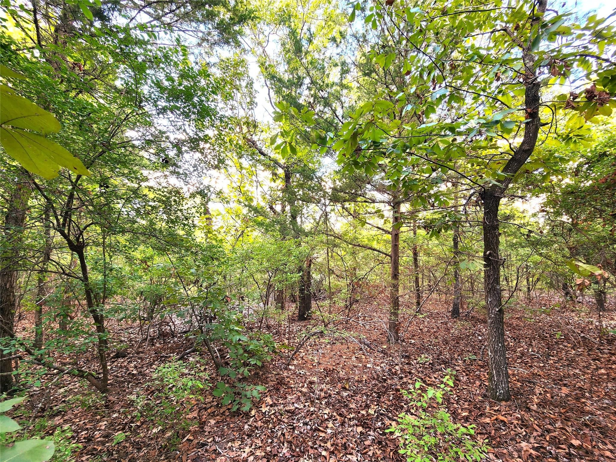 Lot 465 Cr-4710 Larue TX 75770
