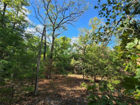 Lot 465 Cr-4710 Larue TX 75770