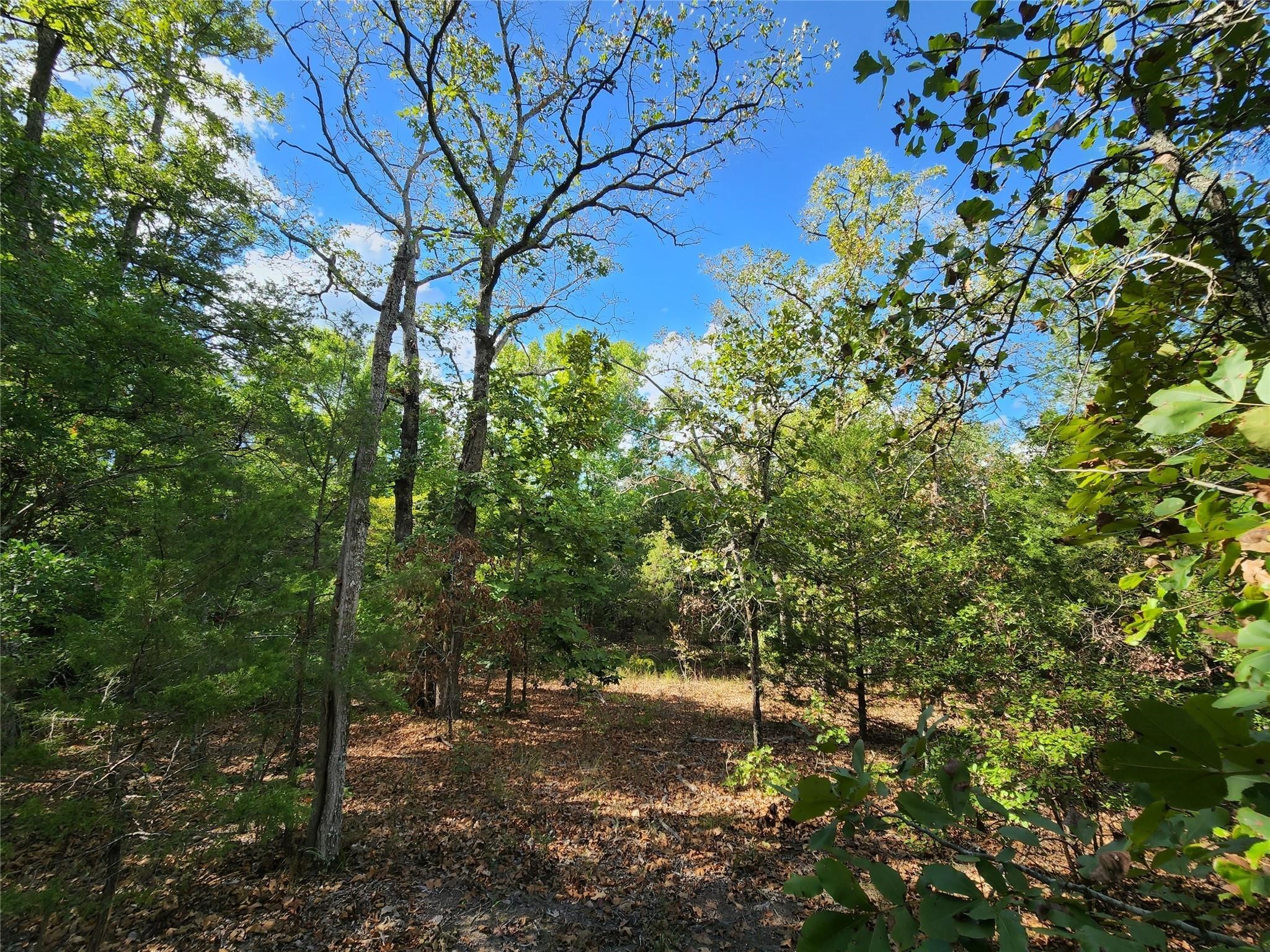 Lot 465 Cr-4710 Larue TX 75770