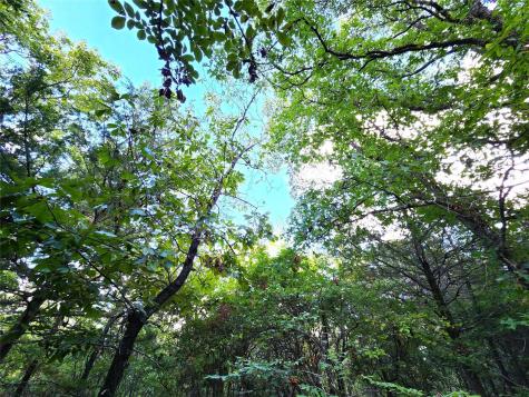 Lot 465 Cr-4710 Larue TX 75770