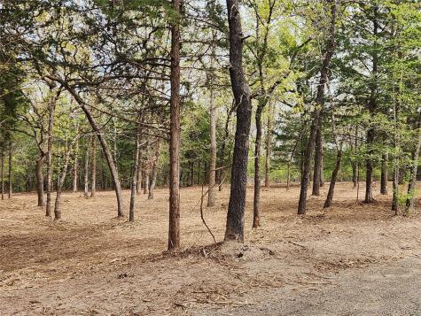 Lot 465 Cr-4710 Larue TX 75770