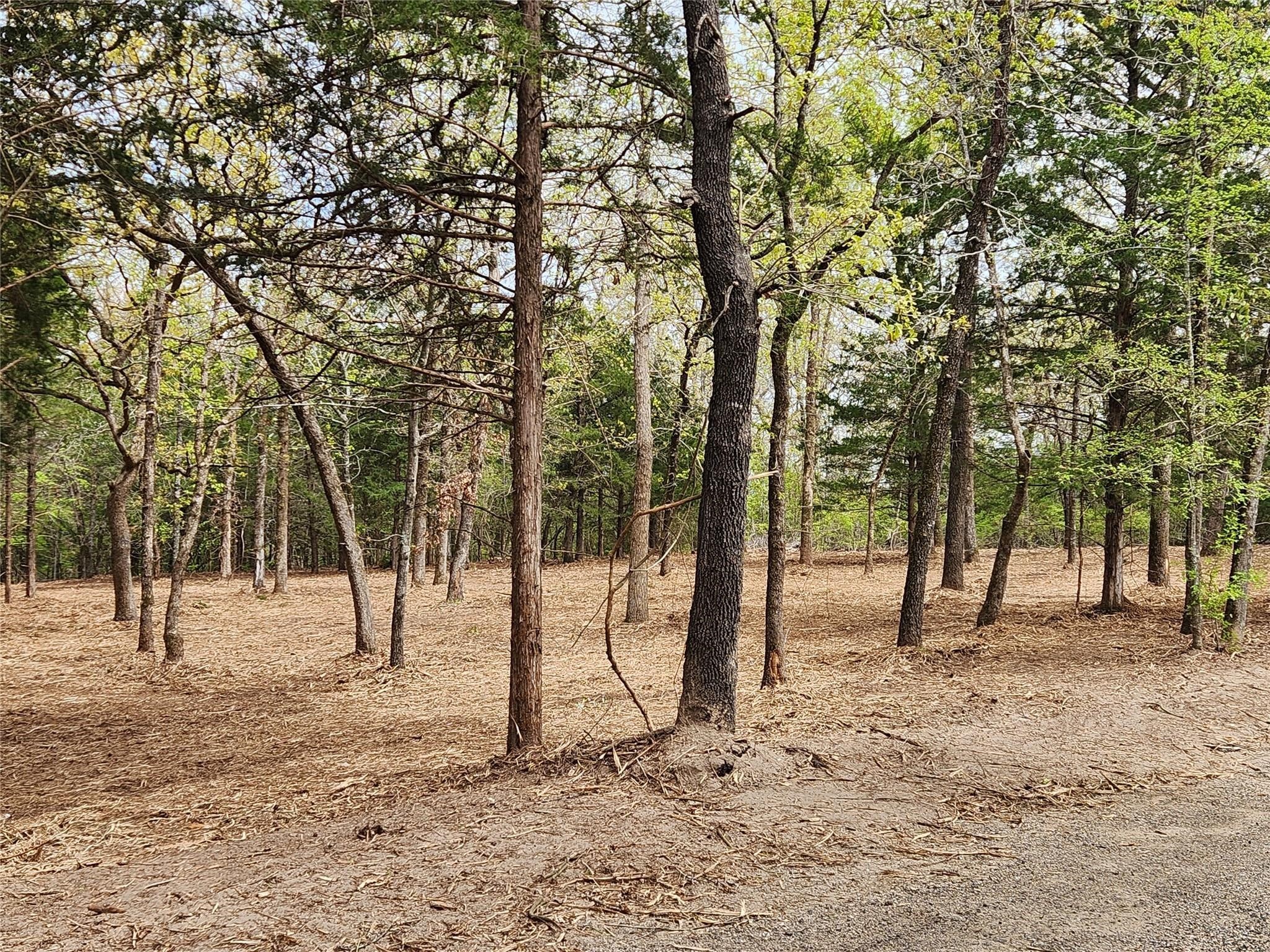 Lot 465 Cr-4710 Larue TX 75770