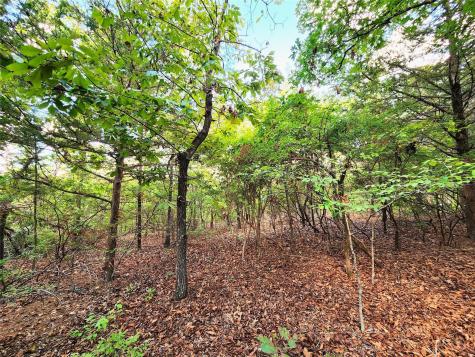 Lot 465 Cr-4710 Larue TX 75770