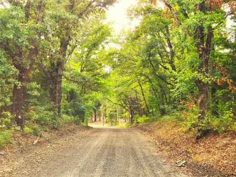 Lot 465 Cr-4710 Larue TX 75770