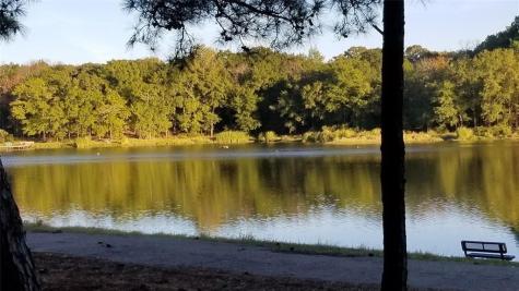 Lot 465 Cr-4710 Larue TX 75770