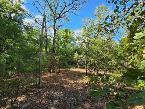 Lot 465 Cr-4710 Larue TX 75770