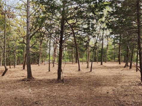 Lot 465 Cr-4710 Larue TX 75770