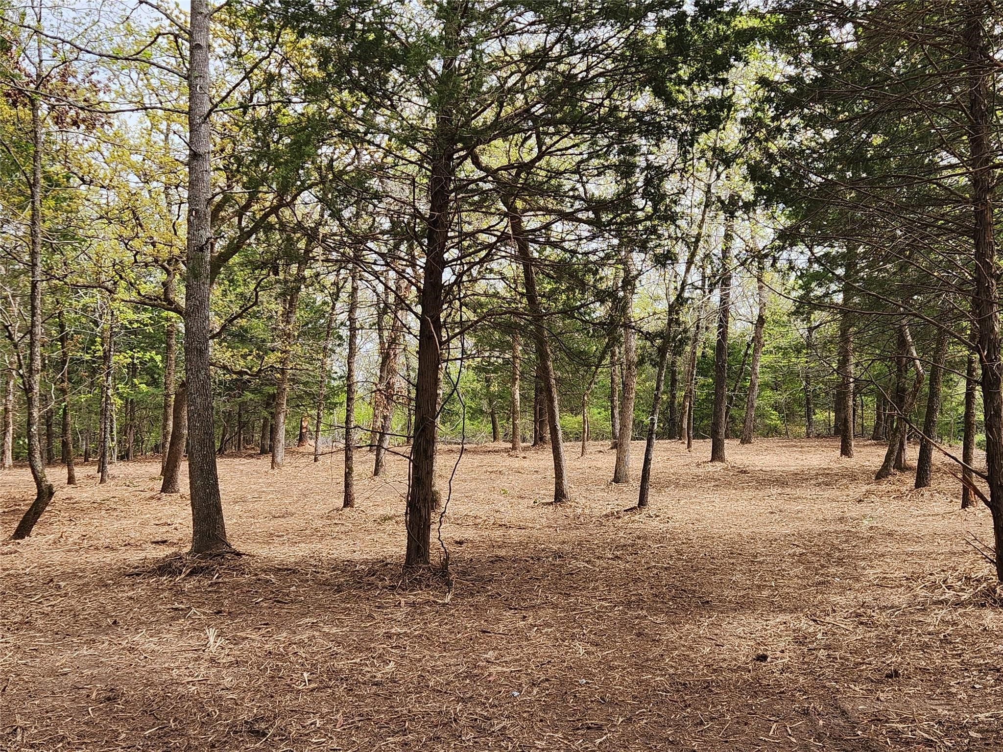 Lot 465 Cr-4710 Larue TX 75770