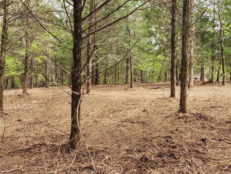 Lot 465 Cr-4710 Larue TX 75770