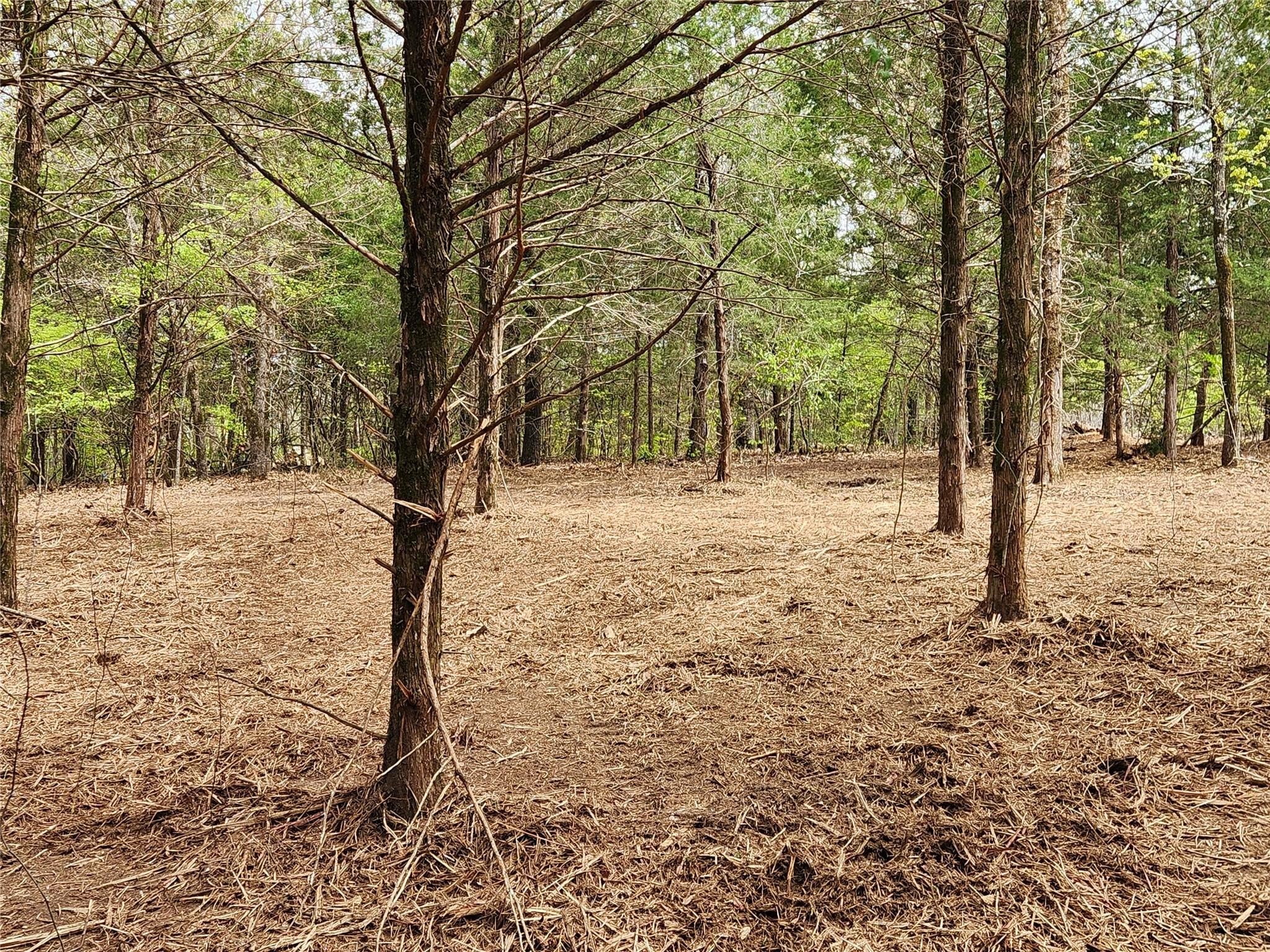 Lot 465 Cr-4710 Larue TX 75770