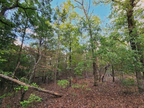 Lot 465 Cr-4710 Larue TX 75770