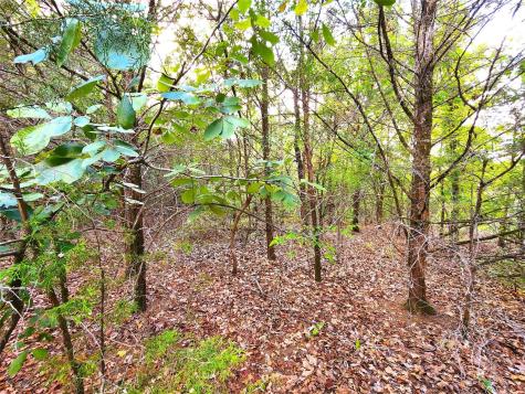Lot 465 Cr-4710 Larue TX 75770