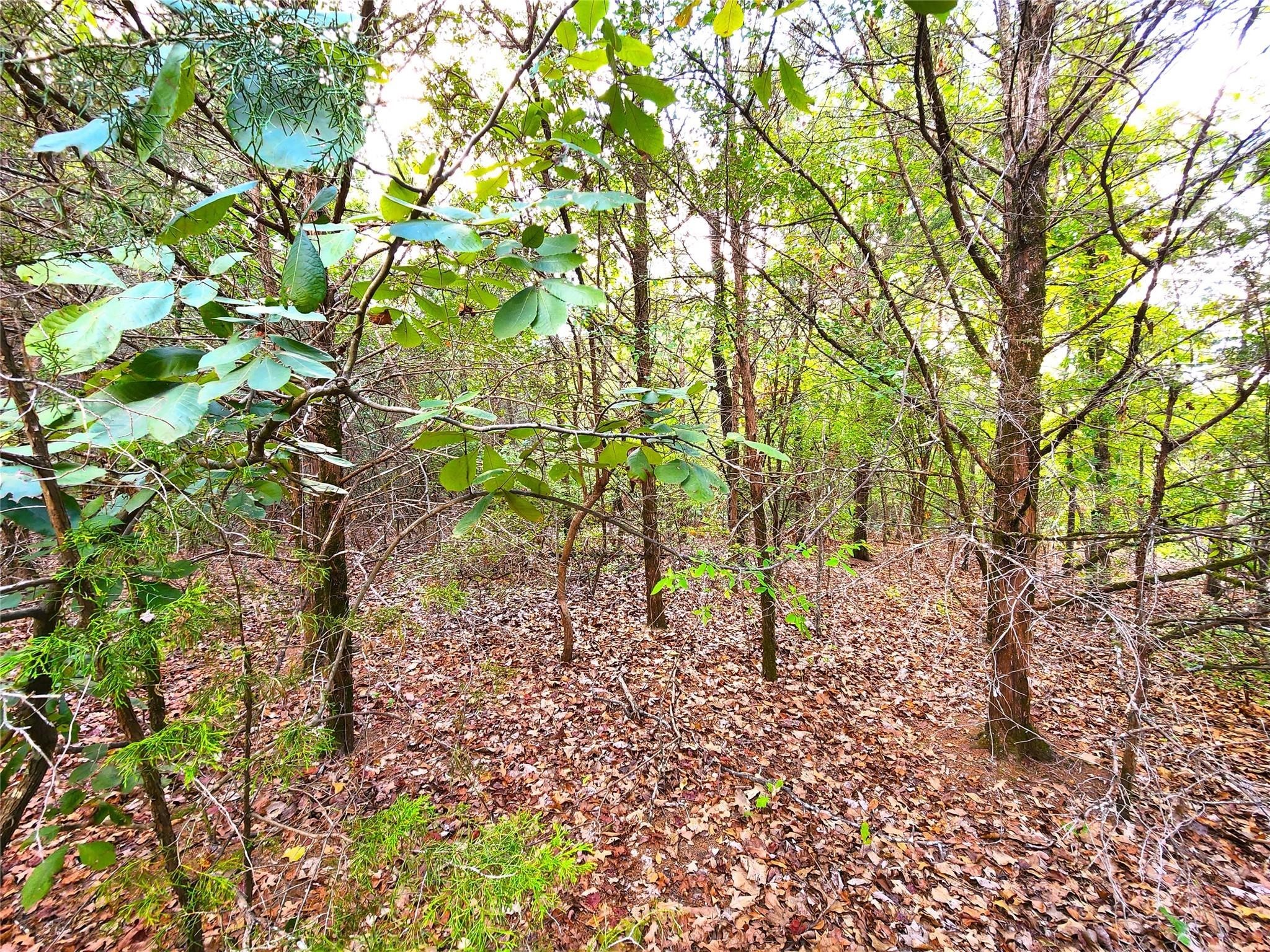 Lot 465 Cr-4710 Larue TX 75770