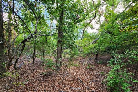 Lot 465 Cr-4710 Larue TX 75770